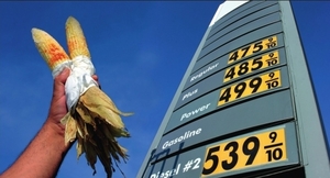 Драйвером украинской биоэнергетики может стать кукуруза ##f_price|CURR_SIGN##