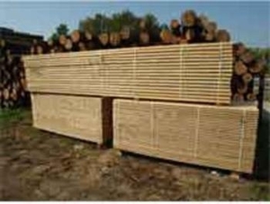 Продам дуб, ольху, сосну грн.0