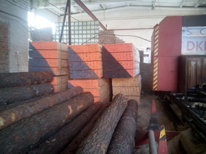 Ищу рынок сбыта пиломатериалов грн.0