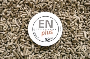 Немецкий институт гранулирования DEPI принял участие в конференции на тему сертифицирования пеллет ##f_price|CURR_SIGN##