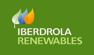 Компания Iberdrola призывает к срочным реформам в энергетике ##f_price|CURR_SIGN##
