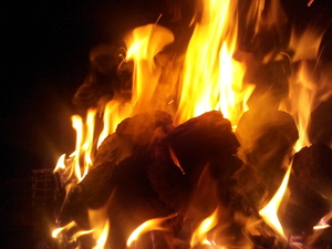 Продам торфяные брикеты грн.0