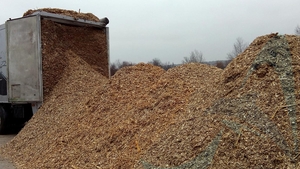 Щепа топливная для промышленных котлов грн.800