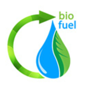 Биотопливо Индонезии 2009 грн.0