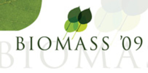 Биомасса 2009 ##f_price|CURR_SIGN##