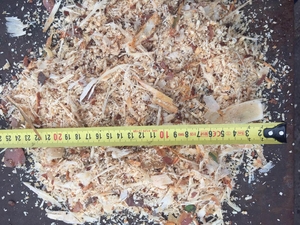 Щепа из сосны г.Олевск грн.0