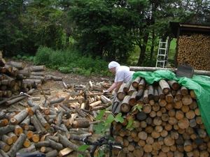 Дрова яблони грн.350