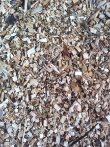 Щепа яблони грн.200