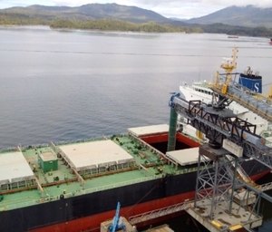 Экспорт канадских пеллет марки Н1 вырос на 1% за год ##f_price|CURR_SIGN##