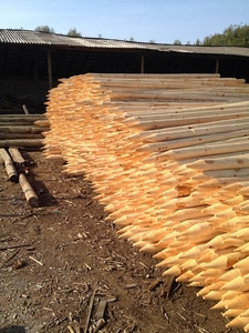 Колья оцилиндрованные из сосны грн.105