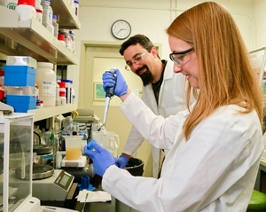 Учёные создали микроорганизм, облегчающий производство биотоплива ##f_price|CURR_SIGN##