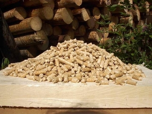 Тасмания рассматривает вопрос строительства новых пеллетных заводов ##f_price|CURR_SIGN##