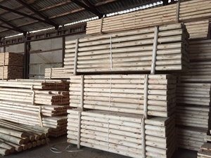 Колья оцилиндрованные грн.2000