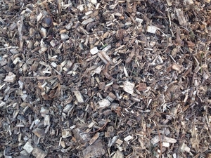 Продам топливною щепу грн.700