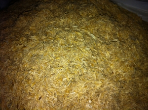 Продам сырье для топливных брикетов (шелуху ячменную) грн.150