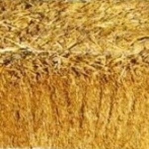 Солома в тюках грн.20