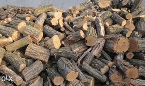 Продам дрова акации грн.0