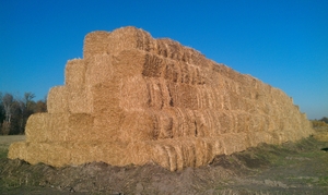 Cолома пшеничная 2015 г в тюках грн.450