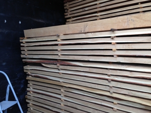 Доска дуба сушеная и свежепил грн.550