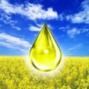 Куплю соевое масло грн.0