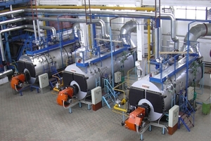 Кабмин инициирует переход бюджетных организаций на альтернативные виды топлива ##f_price|CURR_SIGN##