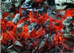 Продам древесный уголь - класс А грн.5000