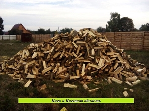 Дрова колотые  грн.600