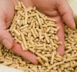 Древесный наполнитель для кошачьих туалетов грн.4