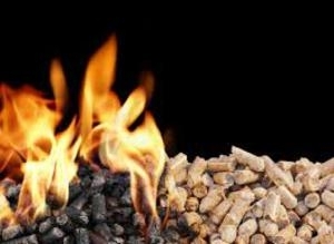 Топливные пеллеты из твердых пород деревьев грн.39