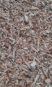 Тріска паливна хвойних порід (сосна) грн.135