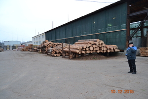 Пиломатериалы из Украины на Экспорт грн.160