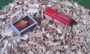 Щепа топливная твердых пород грн.834