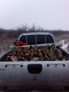 Дрова фруктовых пород. Яблоко, груша грн.0