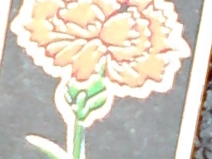 Уголь АМ грн.0