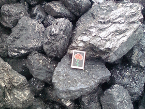 Уголь плита грн.0