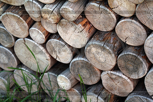 Ищу поставщика дров акации в Днепропетровске грн.300