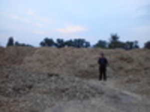 Продам топливную щепу грн.0