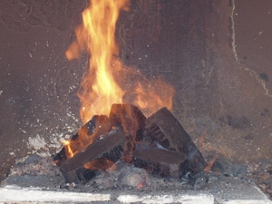 Торфяные топливные брикеты грн.1200