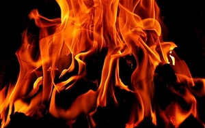 Древесный уголь грн.12