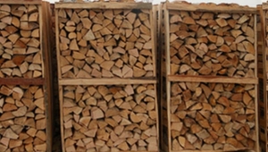 Продаем дрова: доставка по Европе грн.0