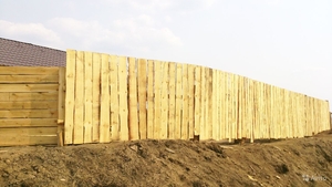 Необрезнная доска Чернигов грн.2800