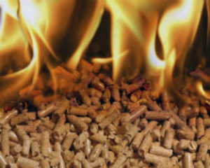 Доставка древесной пеллеты по Киеву и области грн.1950