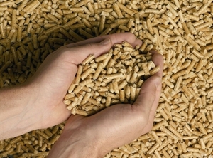 Древесные пеллеты DIN PLUS грн.100