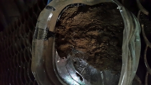 Продам сорбент  для разлитых нефтепродуктов грн.5500