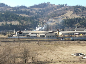 Партнерство в деревоперерабатывающем бизнесе грн.50