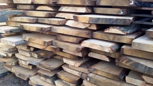 Продаю дошку дубову суху грн.350