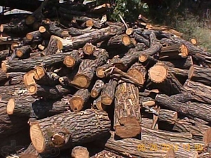 Продаю дрова метровки грн.0