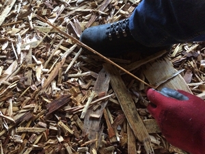 Продам щепу из отходов производства шпона грн.120