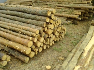 Рудстойка продам грн.