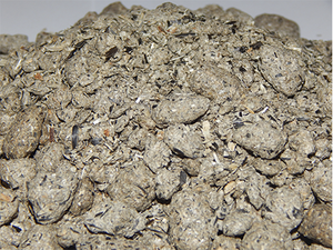 Продам шрот соняшника грн.0